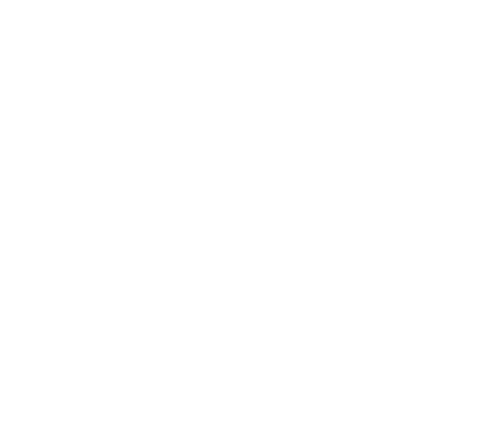 Aleph Business Intelligence